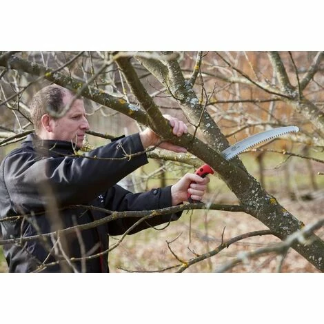 FELCO 630 Scie Courbe à Coupe Tirante â Image 4