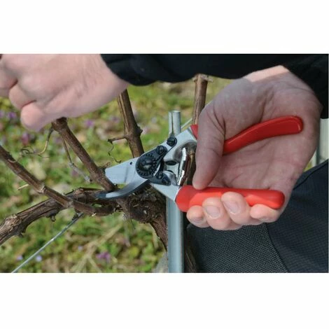 Felco Sécateur Felco 7 / 25 Mm / 210 Mm â Image 3