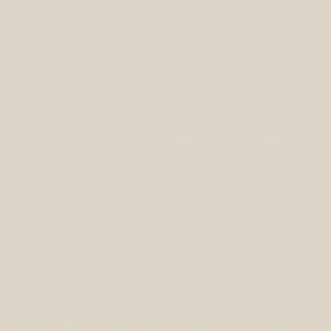 RIPOLIN Testeur Peinture Beige Glaise Mat RIPOLIN Murs Et Boiseries 0.075 L â Image 2