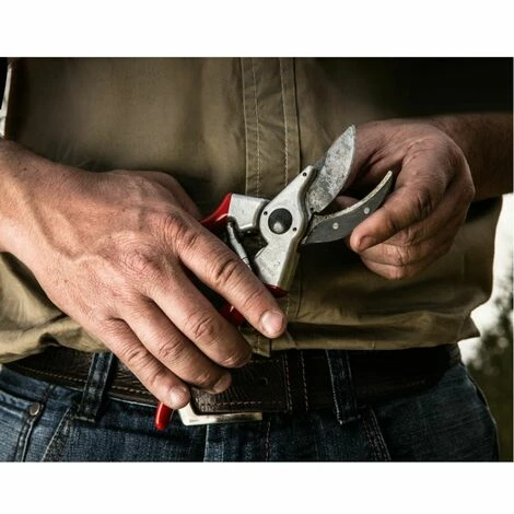 Felco Sécateurs Felco 2 / 25 Mm / 215 Mm â Image 3