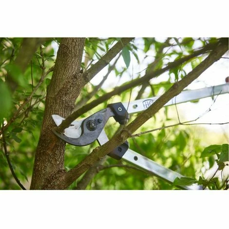 Felco À Deux Mains La Taille De Cisaillement 211-60 â Image 4