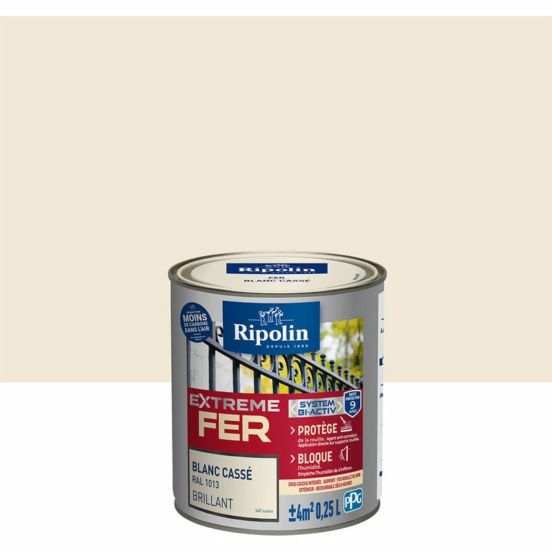 Peinture Pour Fer Extérieur, Brillant Ripolin