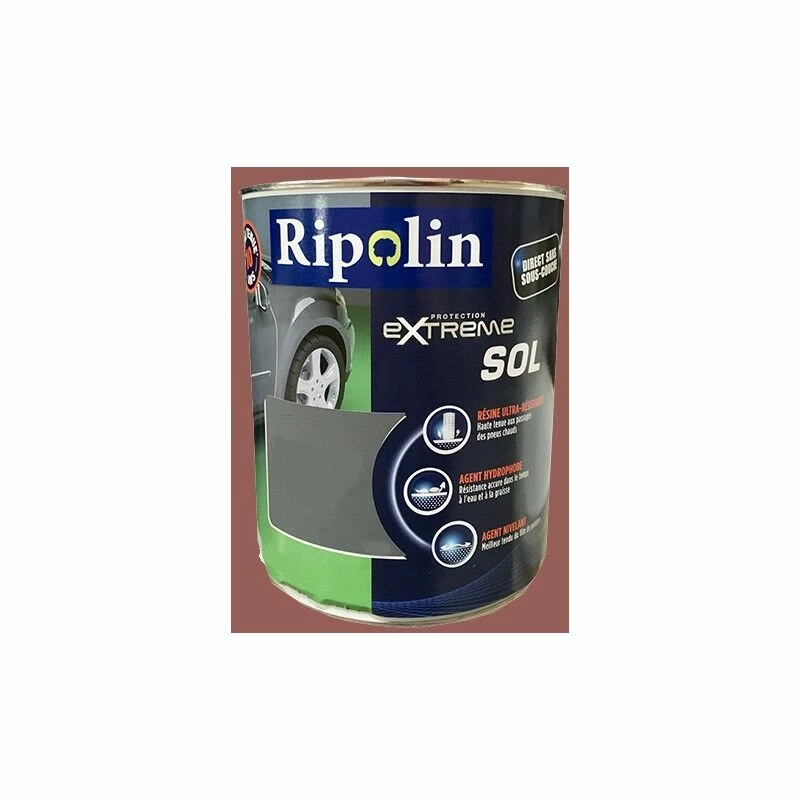 Peinture Pour Sol Intérieur Et Extérieur, Satin Ripolin