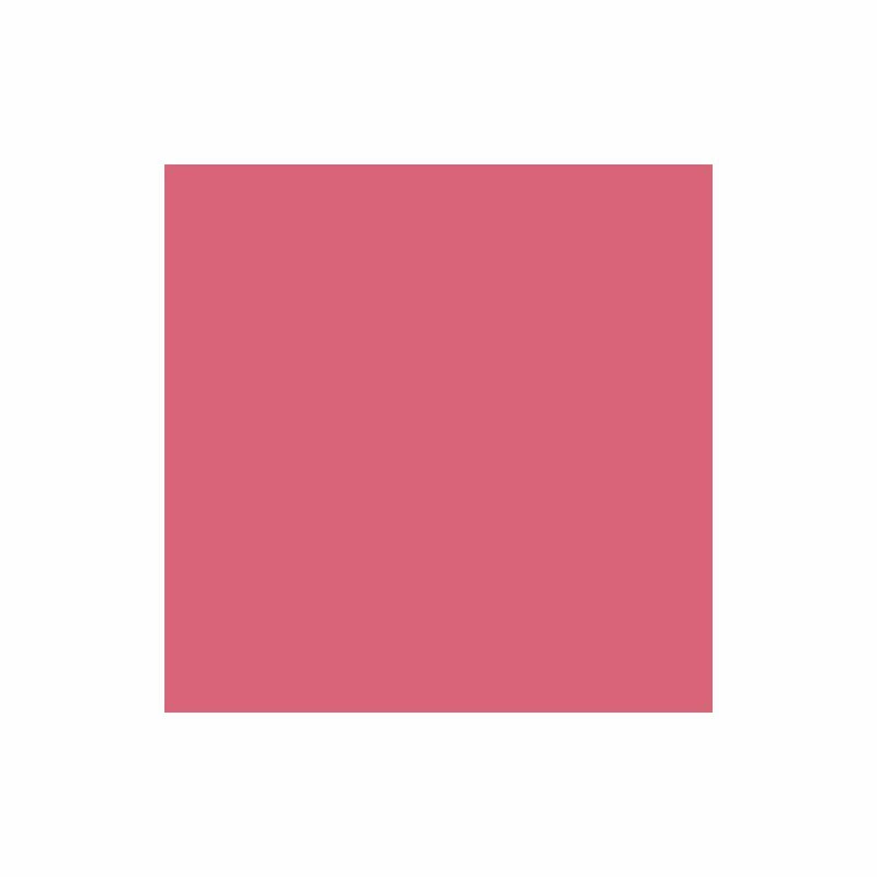 RIPOLIN Poche Rose Lipstick Mat 1L 1 L â Image 2